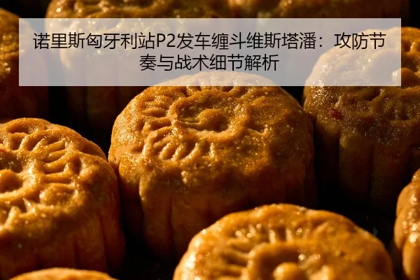 nuo-li-si-xiong-ya-li-zhan-fa-che-chan-dou-wei-si-ta-pan-gong-fang-jie-zou-yu-zhan-shu-xi-jie-jie-xi-3-962.jpg